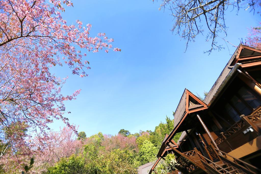 Angkhang Nature Resort Fang Extérieur photo