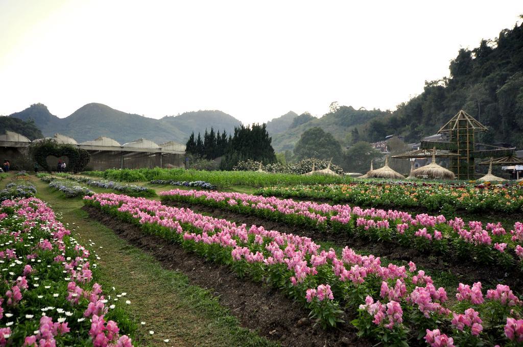 Angkhang Nature Resort Fang Extérieur photo